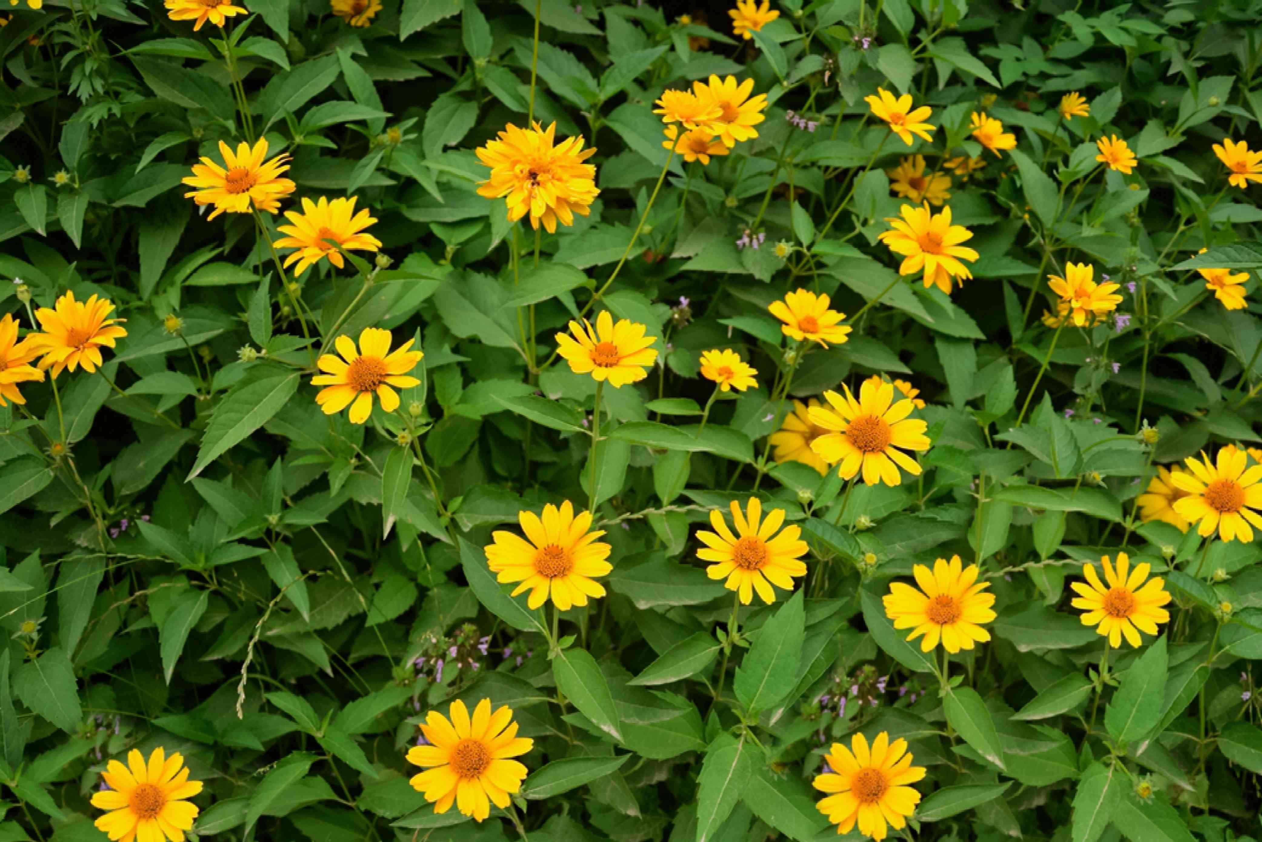 01.webp